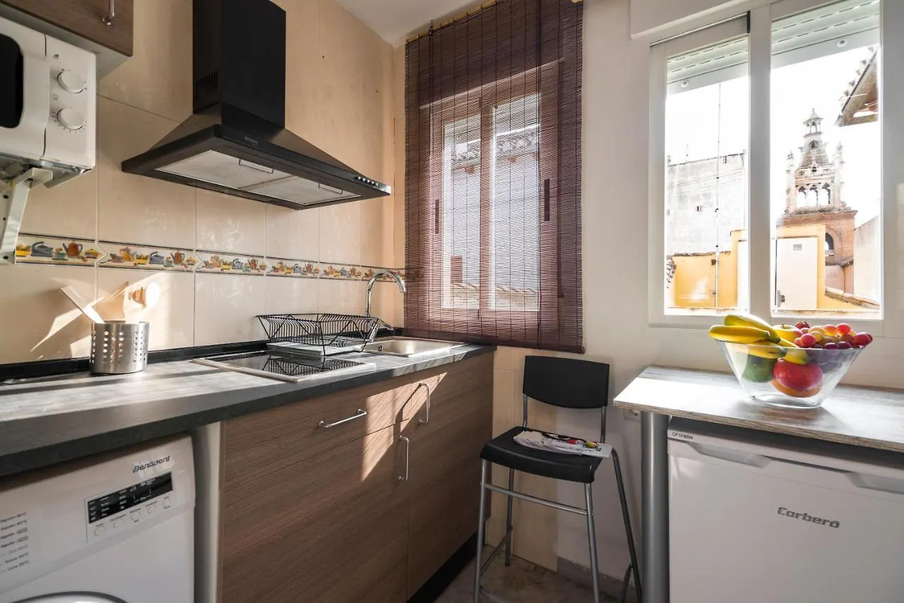 Apartamentos Granata Γρανάδα 0*,